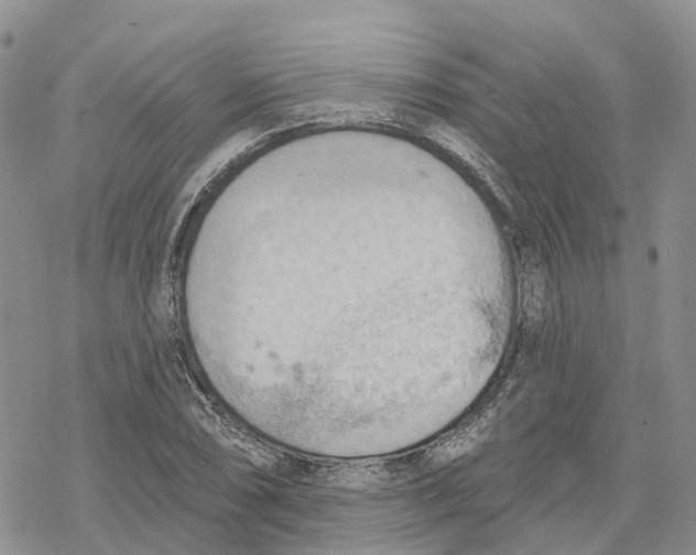 X0000078231074200611251208