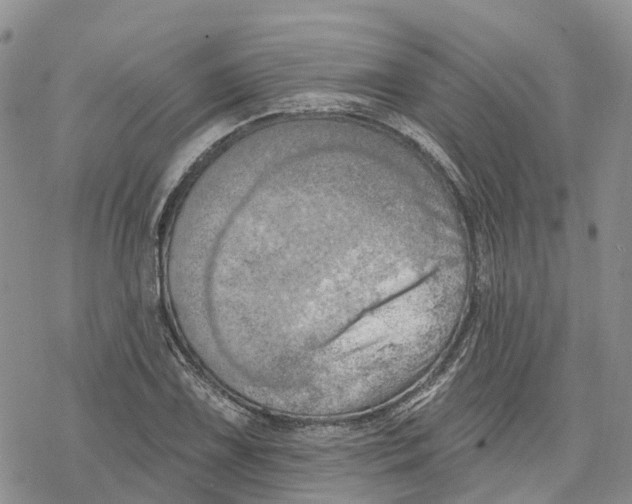 X0000078231075200611251208