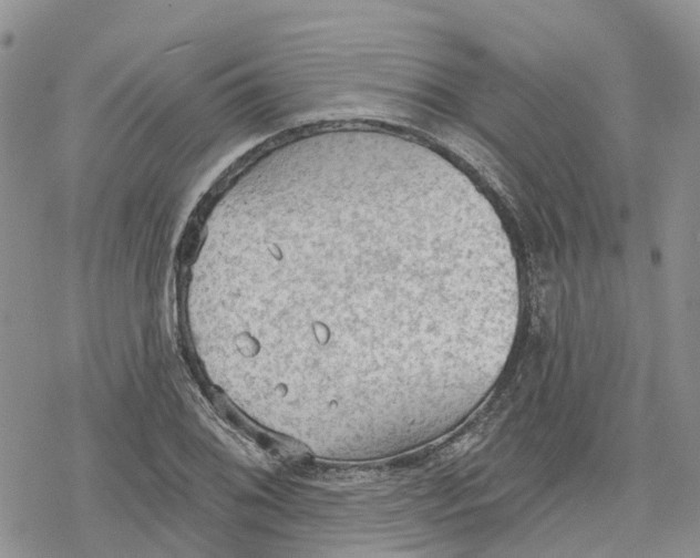 X0000078231076200611251208