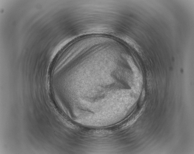 X0000078231077200611251208