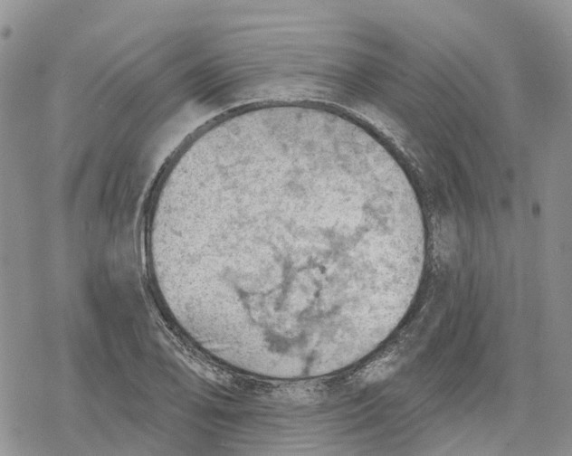 X0000078231078200611251208