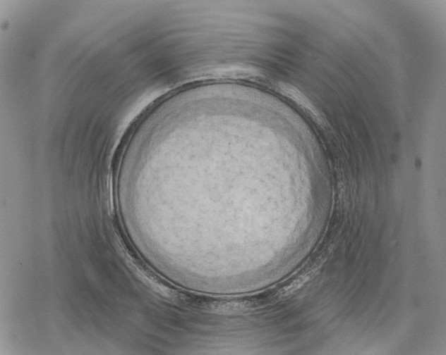 X0000078231079200611251208