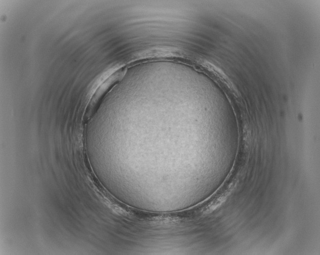 X0000078231081200611251208