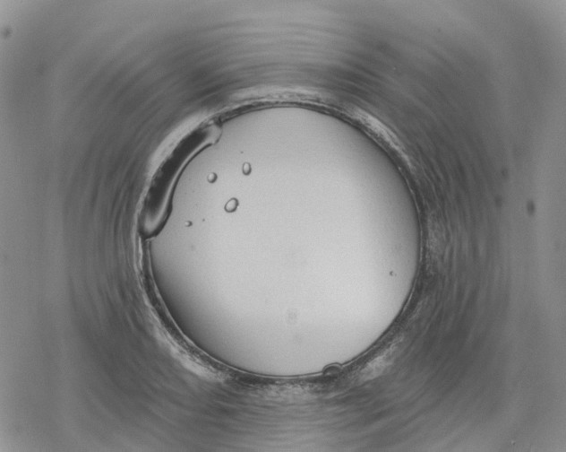 X0000078231082200611251208