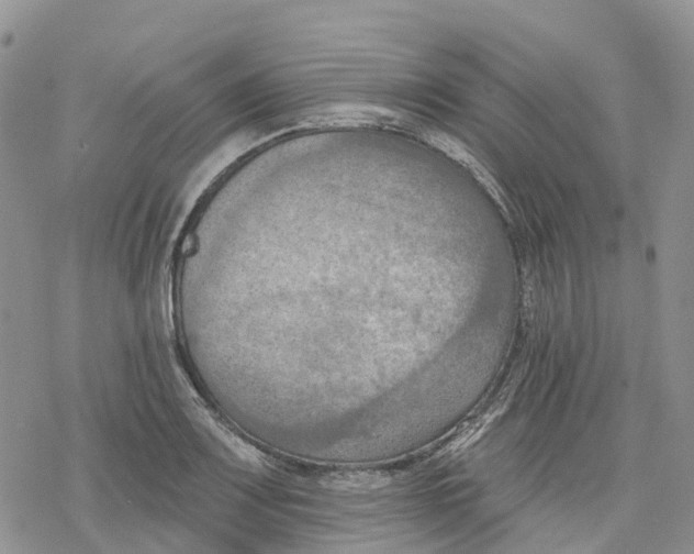 X0000078231083200611251208