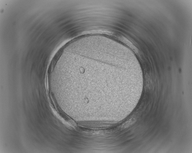 X0000078231084200611251208