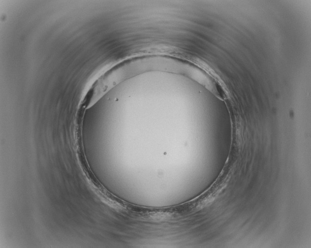 X0000078231085200611251208