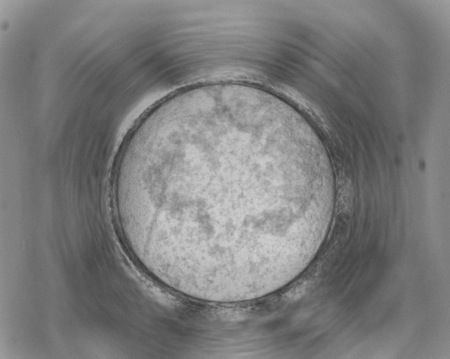 X0000078231086200611251208