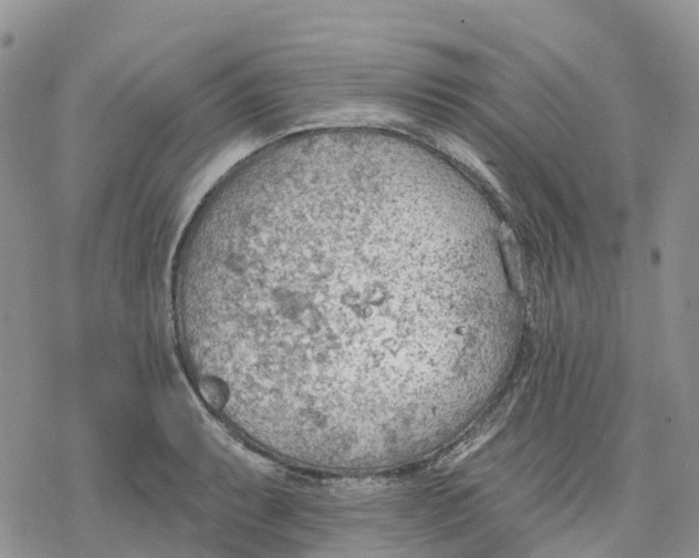 X0000078231087200611251208