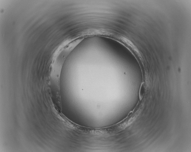 X0000078231089200611251208