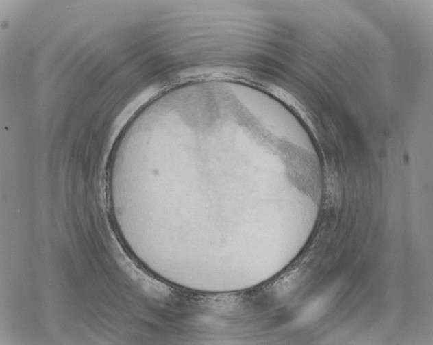 X0000078231090200611251208