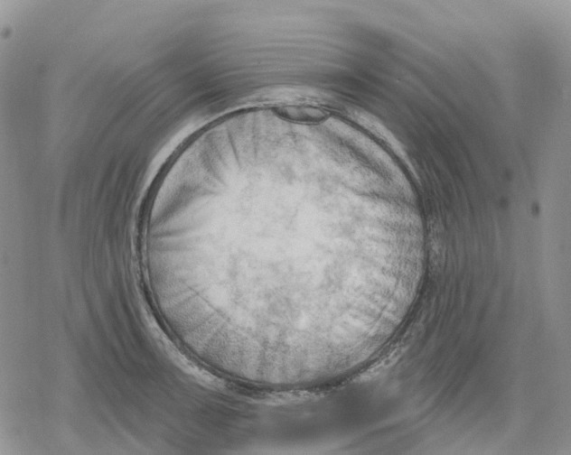 X0000078231091200611251208