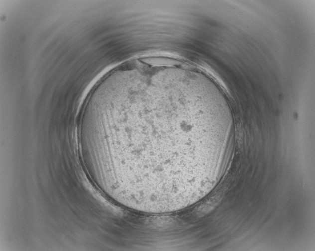 X0000078231092200611251208