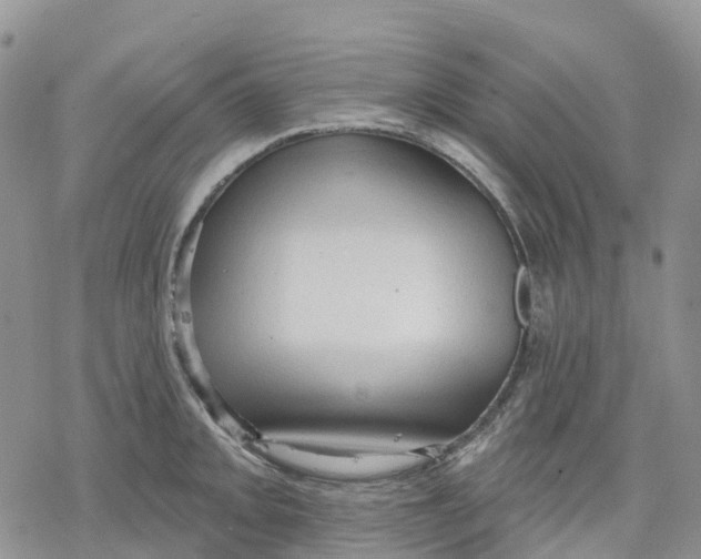 X0000078231093200611251208