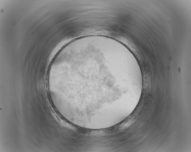 X0000078231094200611251208