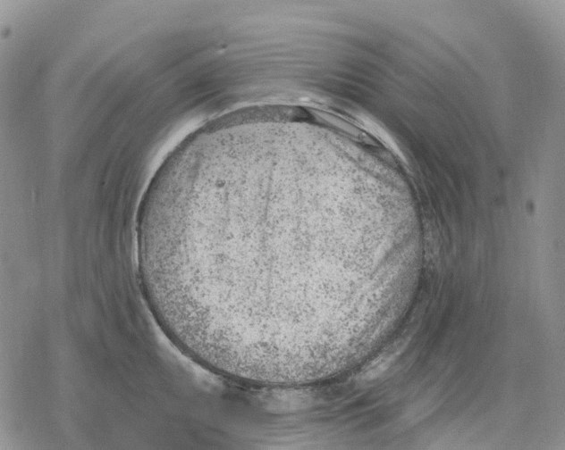 X0000078231095200611251208