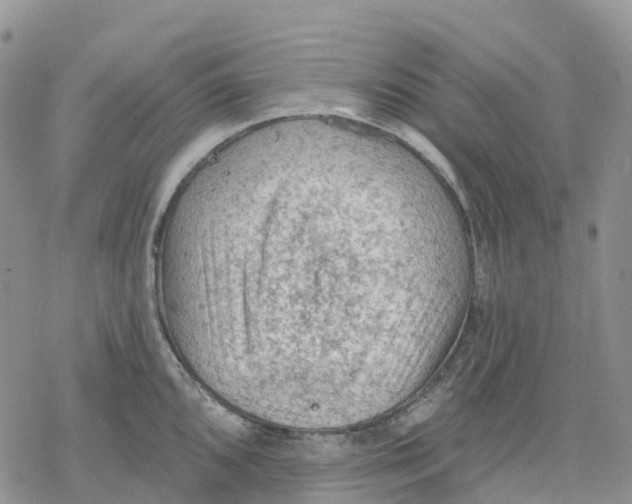 X0000078231096200611251208