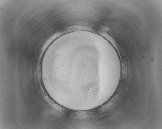 X0000078231098200611251208