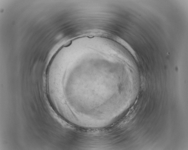 X0000078231099200611251208