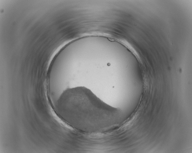 X0000078231100200611251208