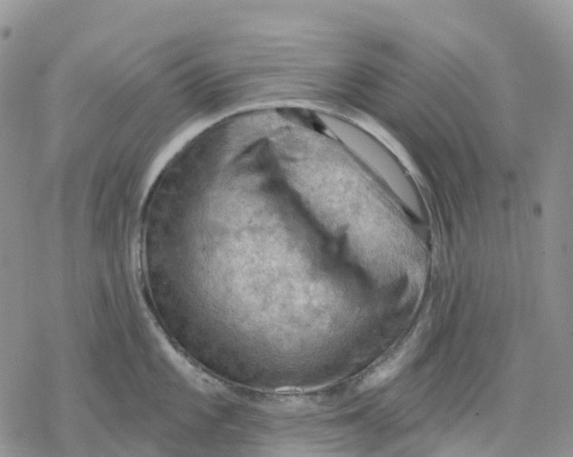 X0000078231101200611251208