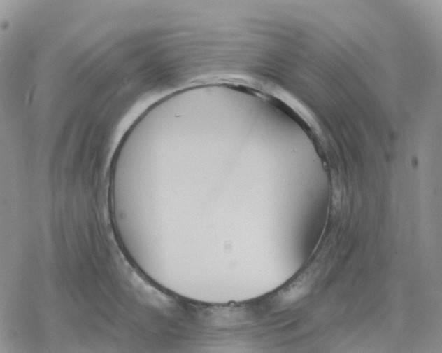 X0000078231102200611251208