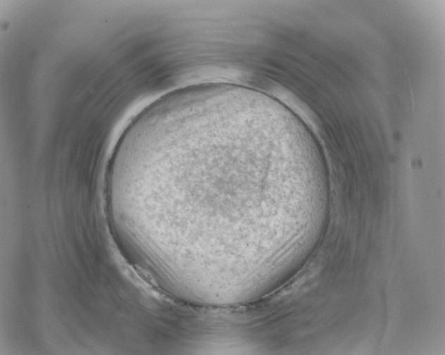 X0000078231104200611251208