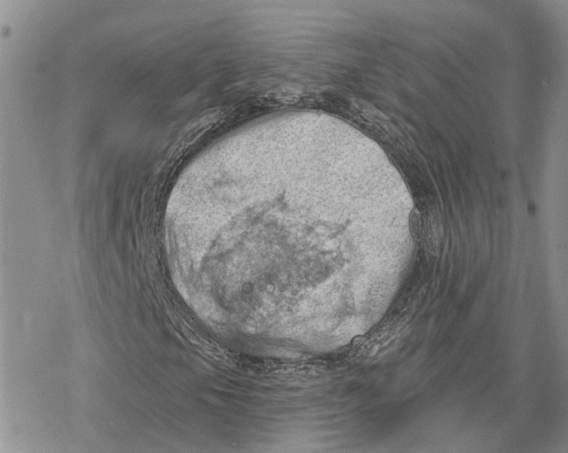 X0000078231105200611251207