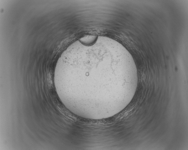 X0000078231106200611251207