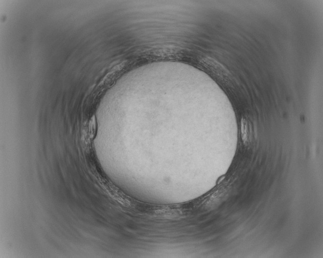 X0000078231107200611251207