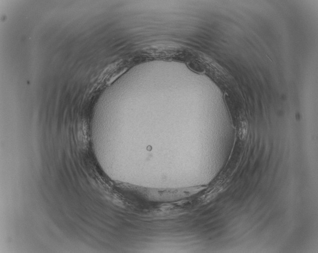 X0000078231108200611251207