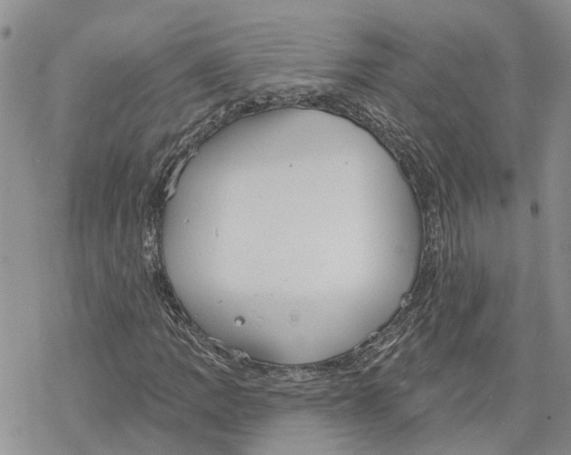 X0000078231109200611251207