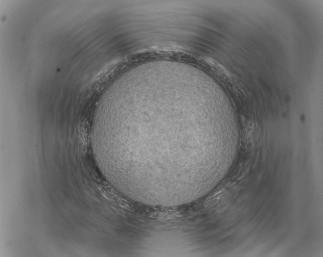 X0000078231110200611251207