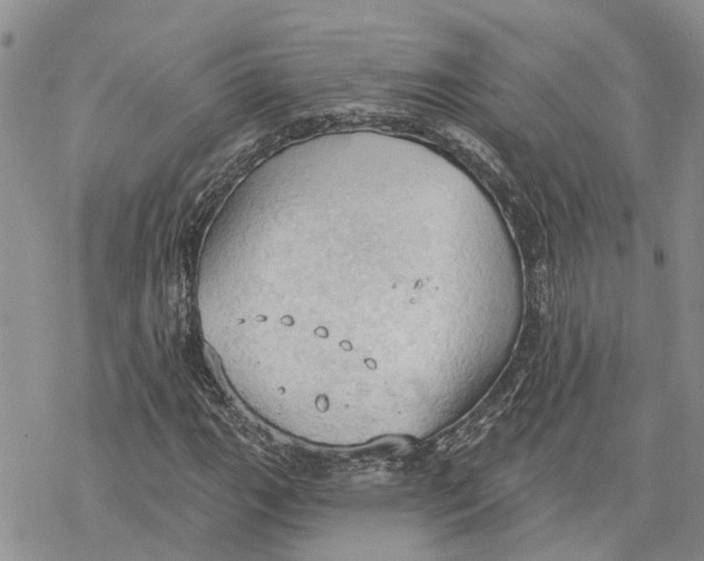 X0000078231111200611251207