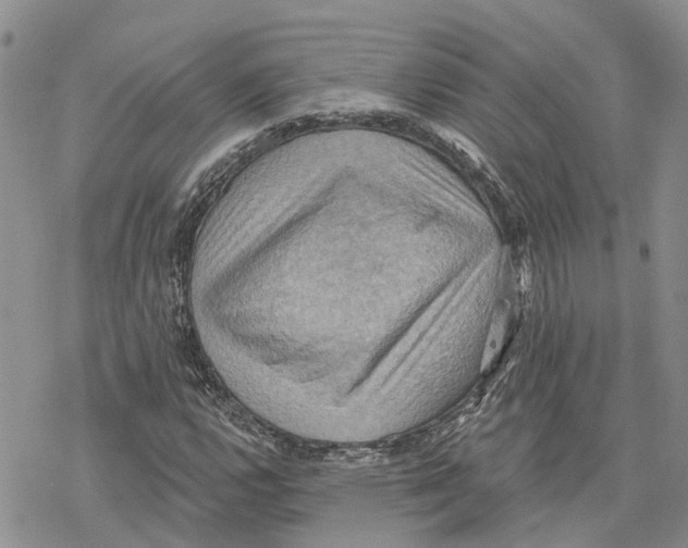 X0000078231112200611251207