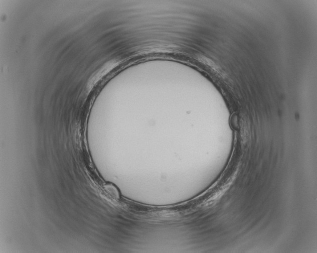 X0000078231113200611251207