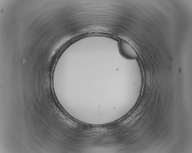 X0000078231115200611251207