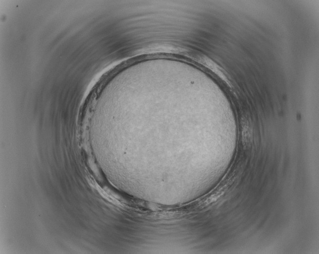 X0000078231116200611251207