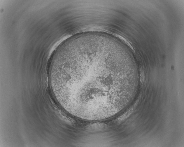 X0000078231117200611251207