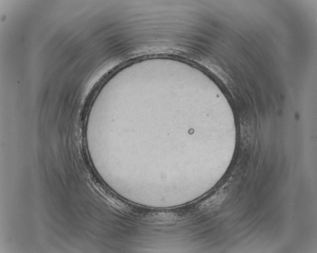 X0000078231119200611251207