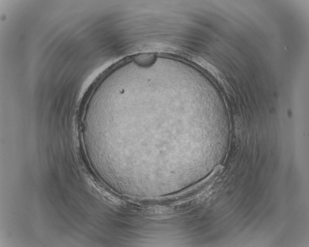 X0000078231120200611251207