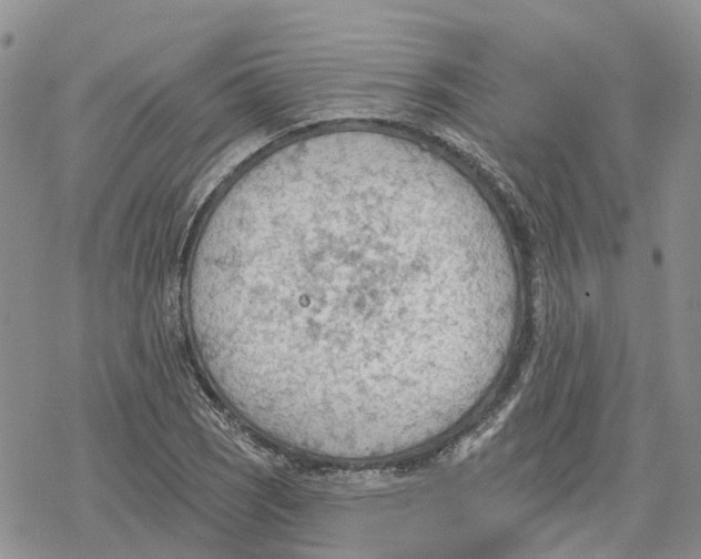 X0000078231121200611251207