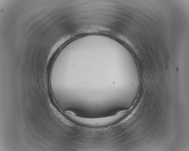 X0000078231122200611251207