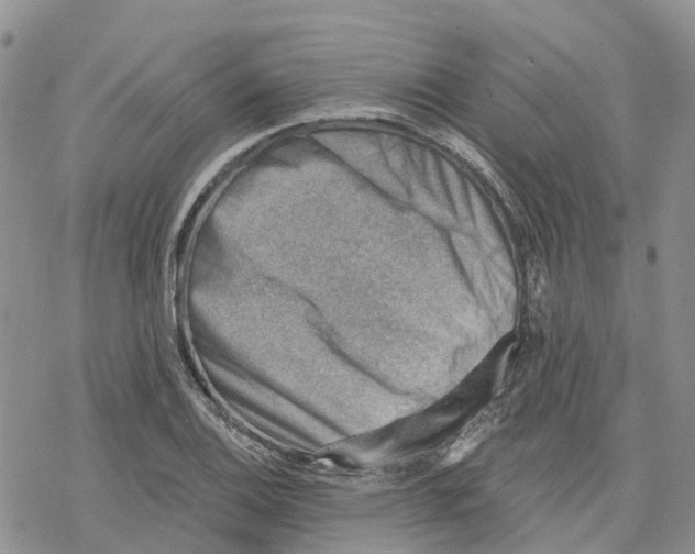 X0000078231124200611251207