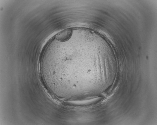 X0000078231125200611251207