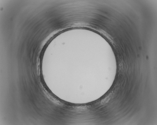 X0000078231126200611251207