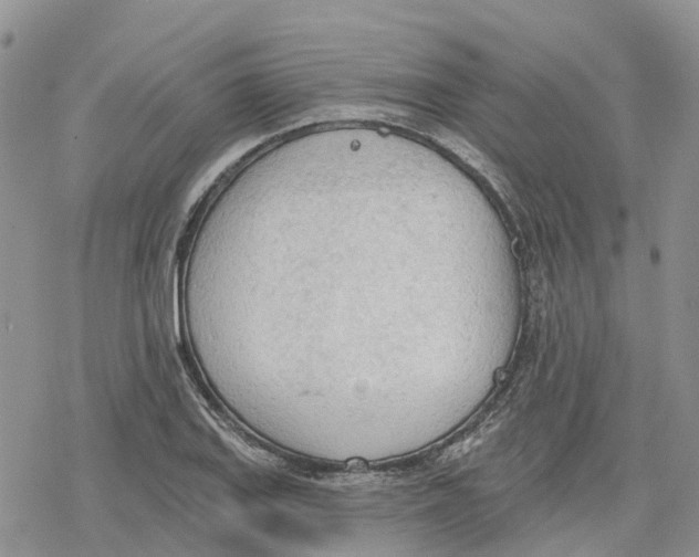 X0000078231127200611251207