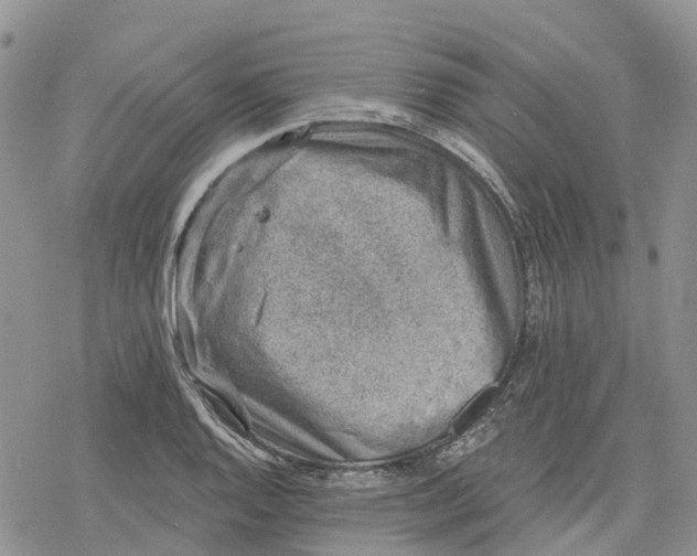 X0000078231128200611251207