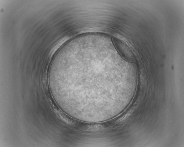 X0000078231129200611251207