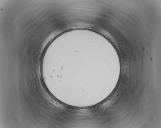 X0000078231130200611251207